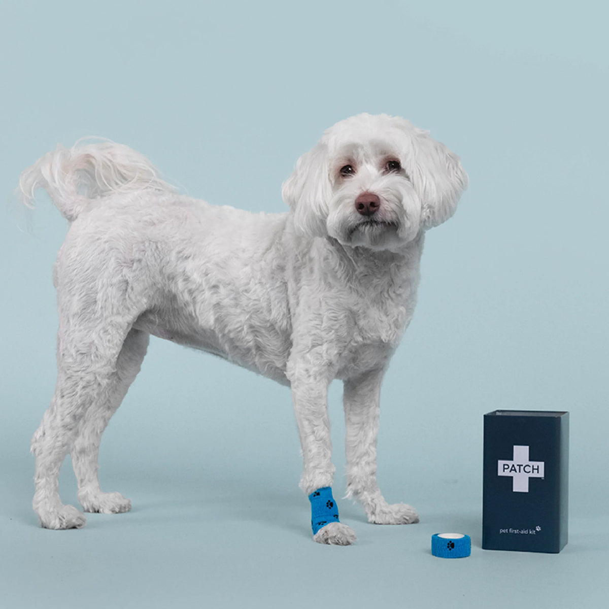 Eco First-Aid Kit for Pets
