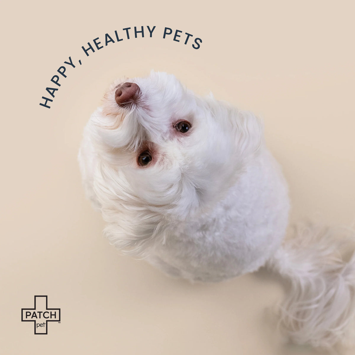 Eco First-Aid Kit for Pets