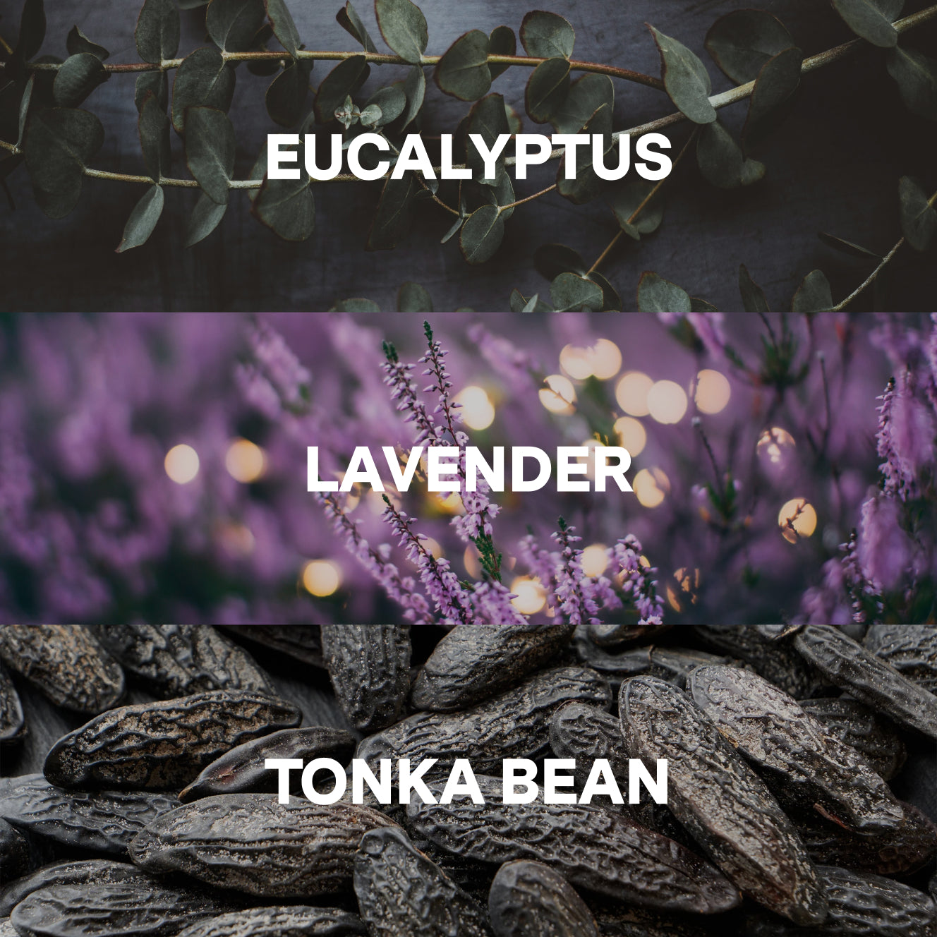 Relaxing Soap — Lavender, Eucalyptus, Tonka Bean