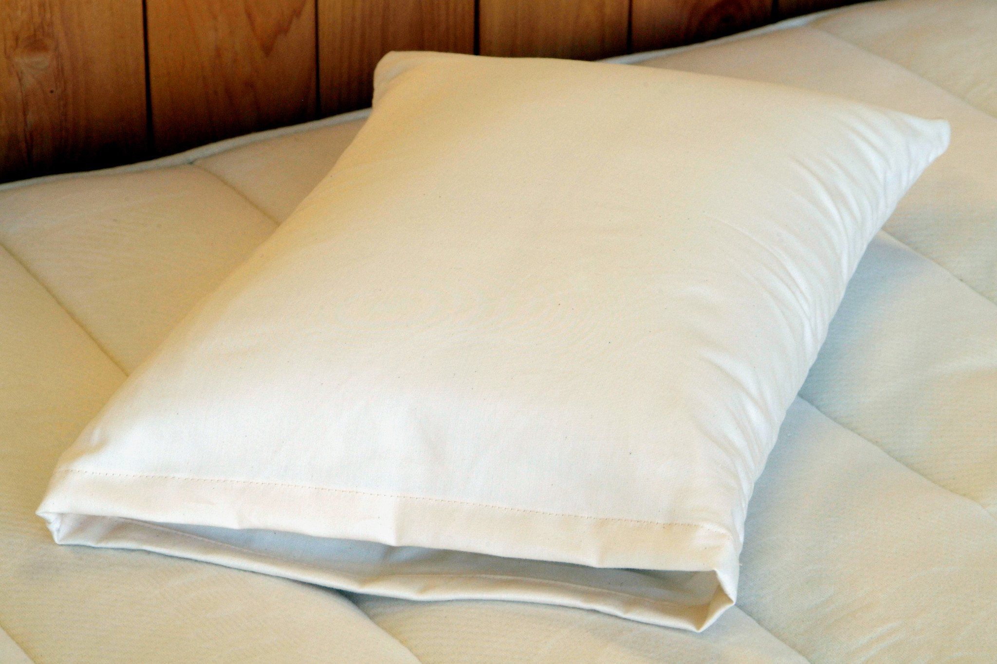 Certified Organic Snuggle Pillow