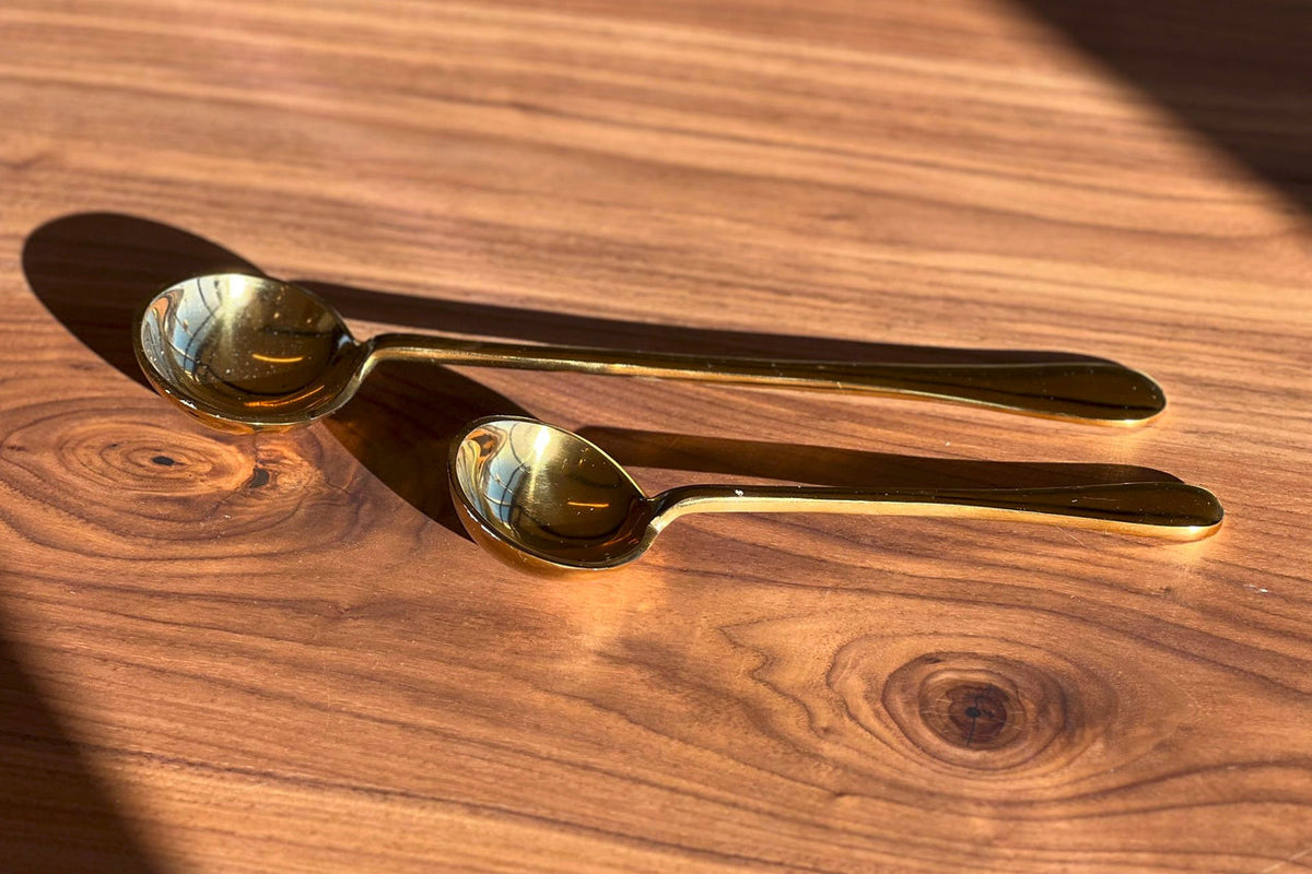 Punjabi Serving Spoon