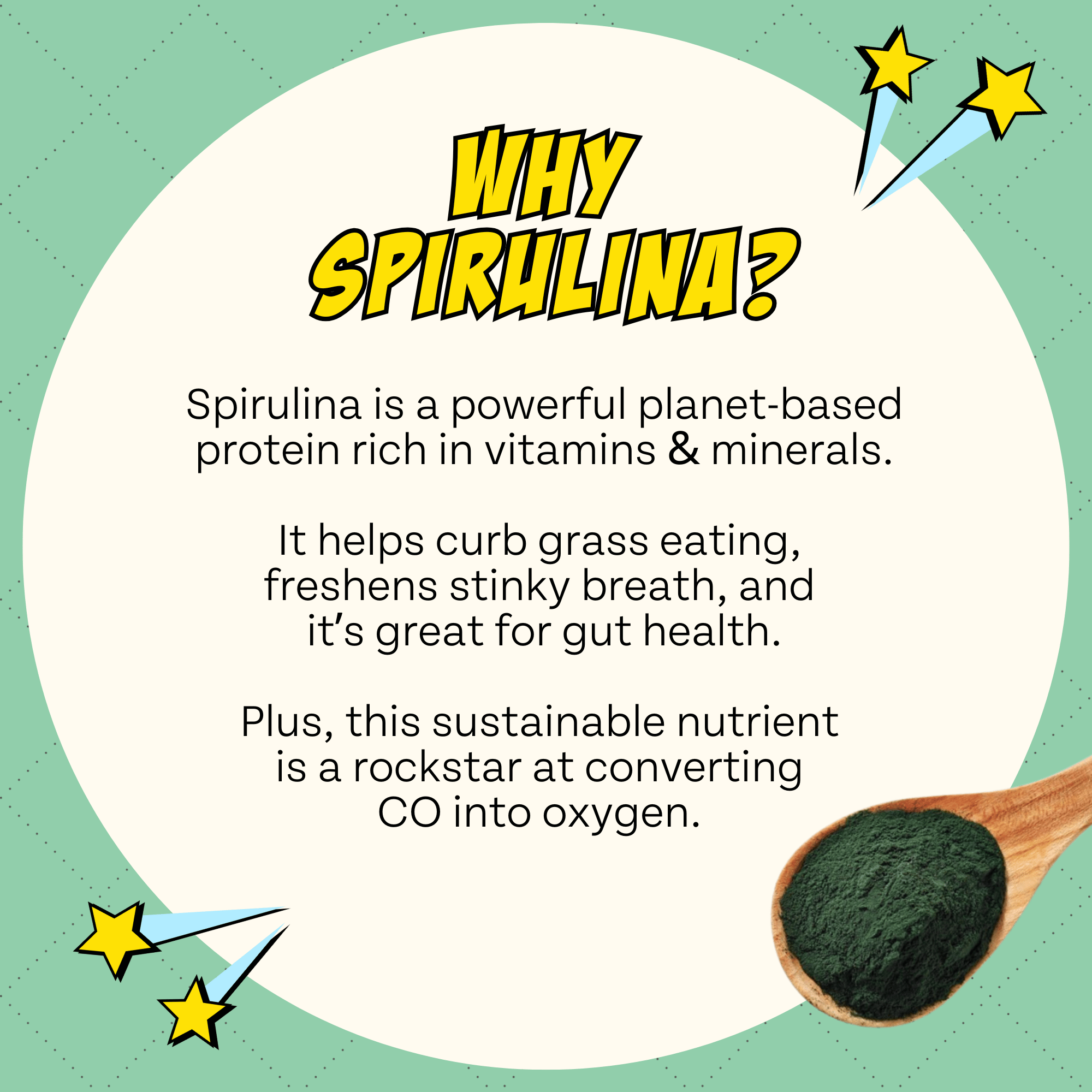 Veggie Dailies with Spirulina, 4-Pack