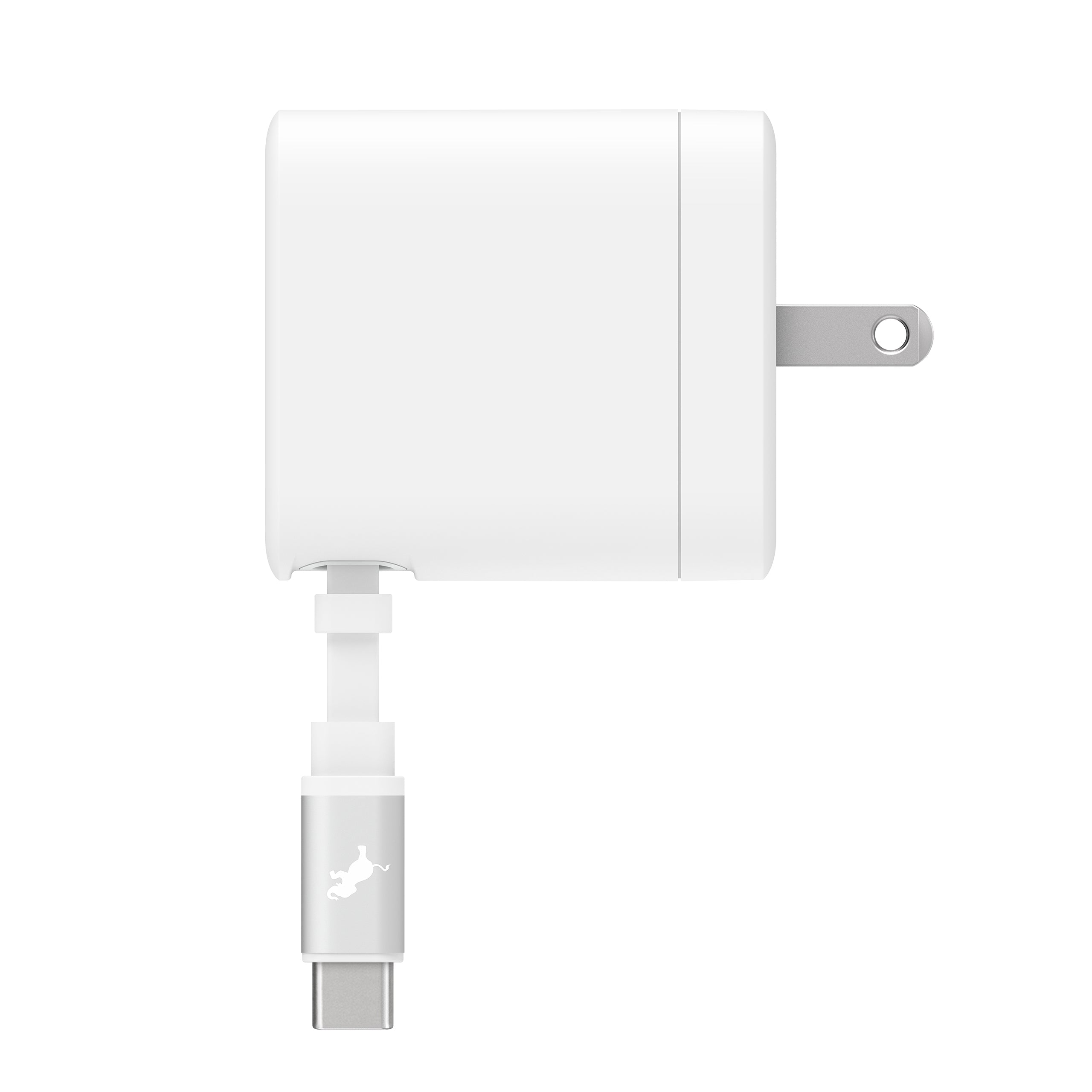 WALLY Stretch 65W Wall Charger