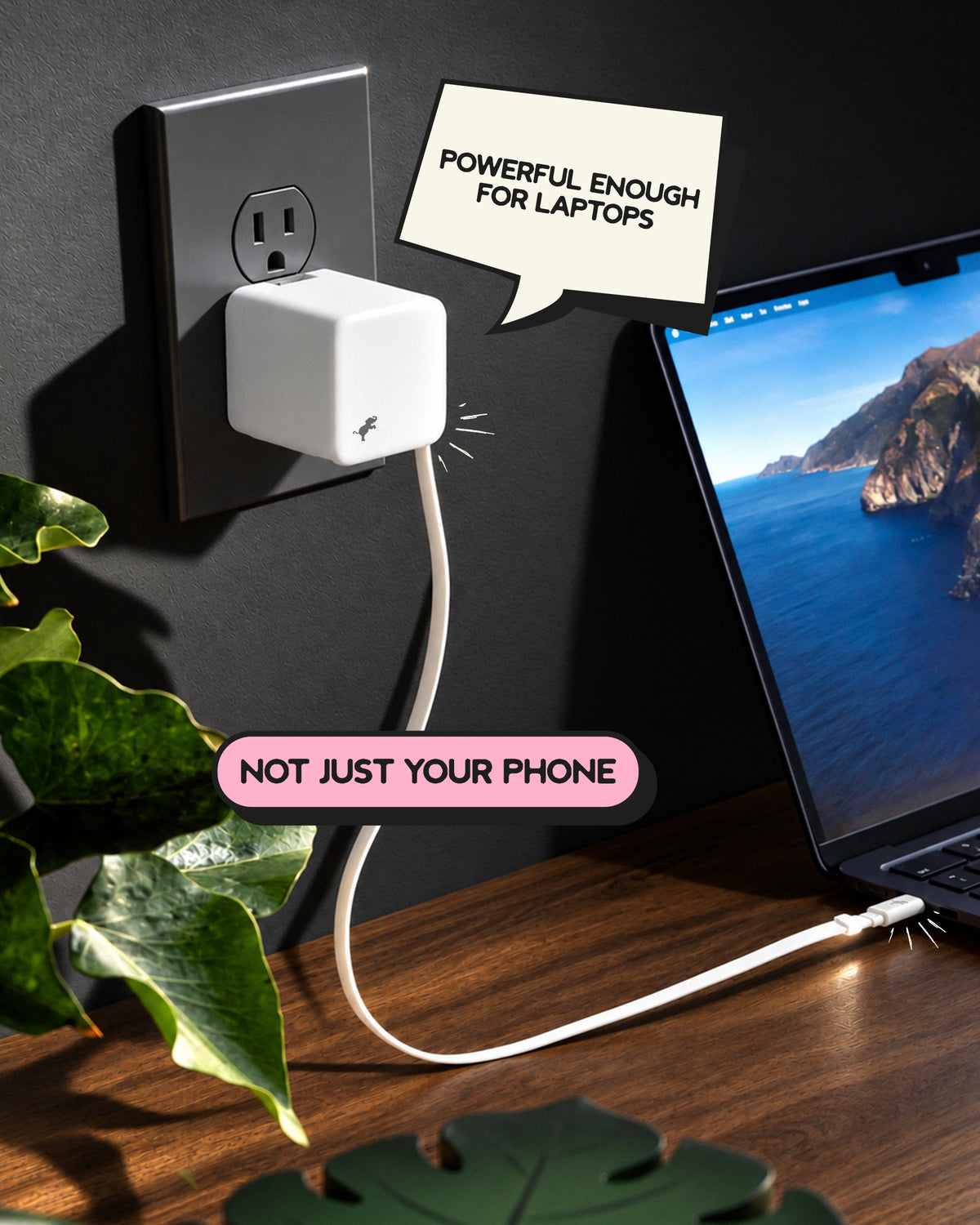 WALLY Stretch 65W Wall Charger
