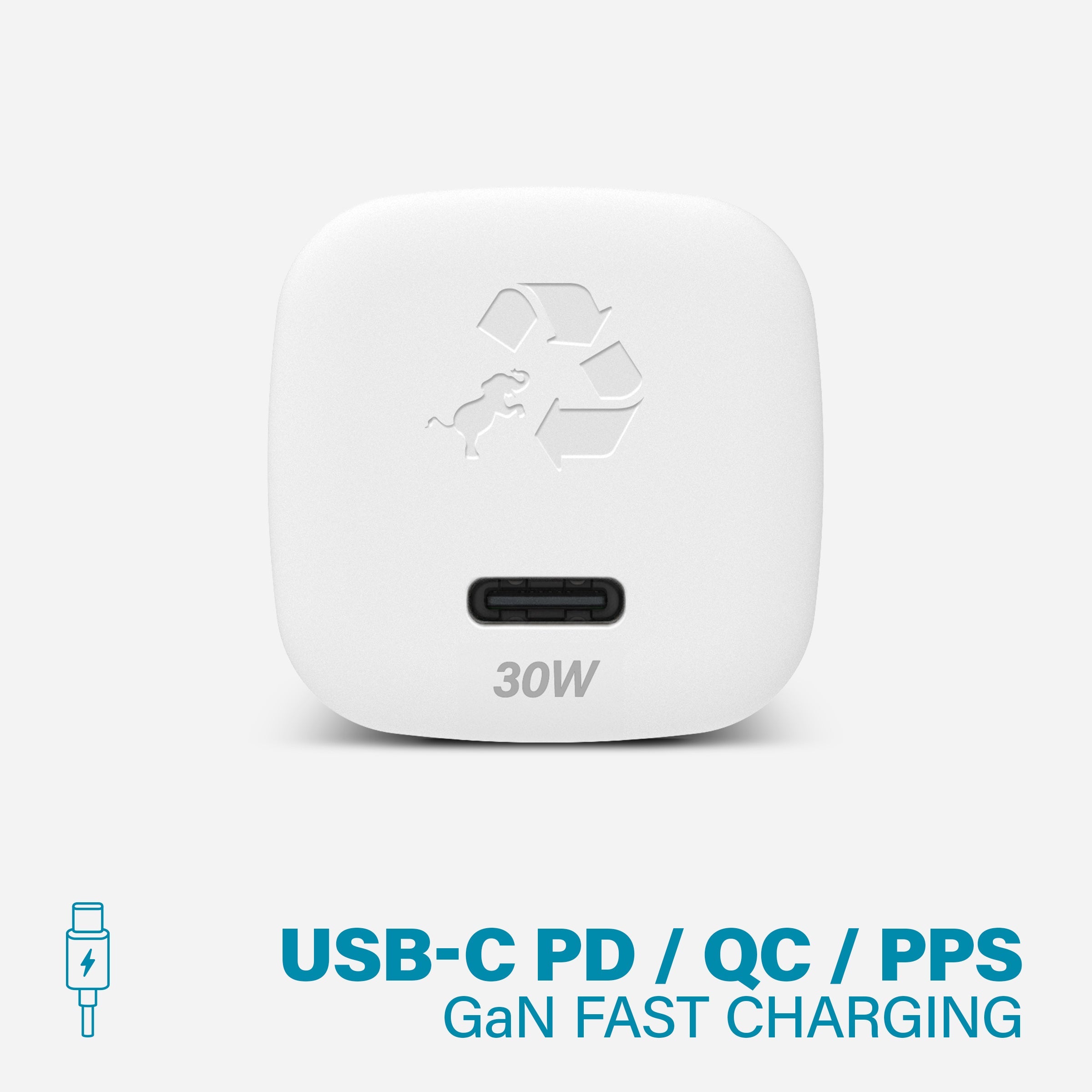 WALLY SubNano 30W Wall Charger