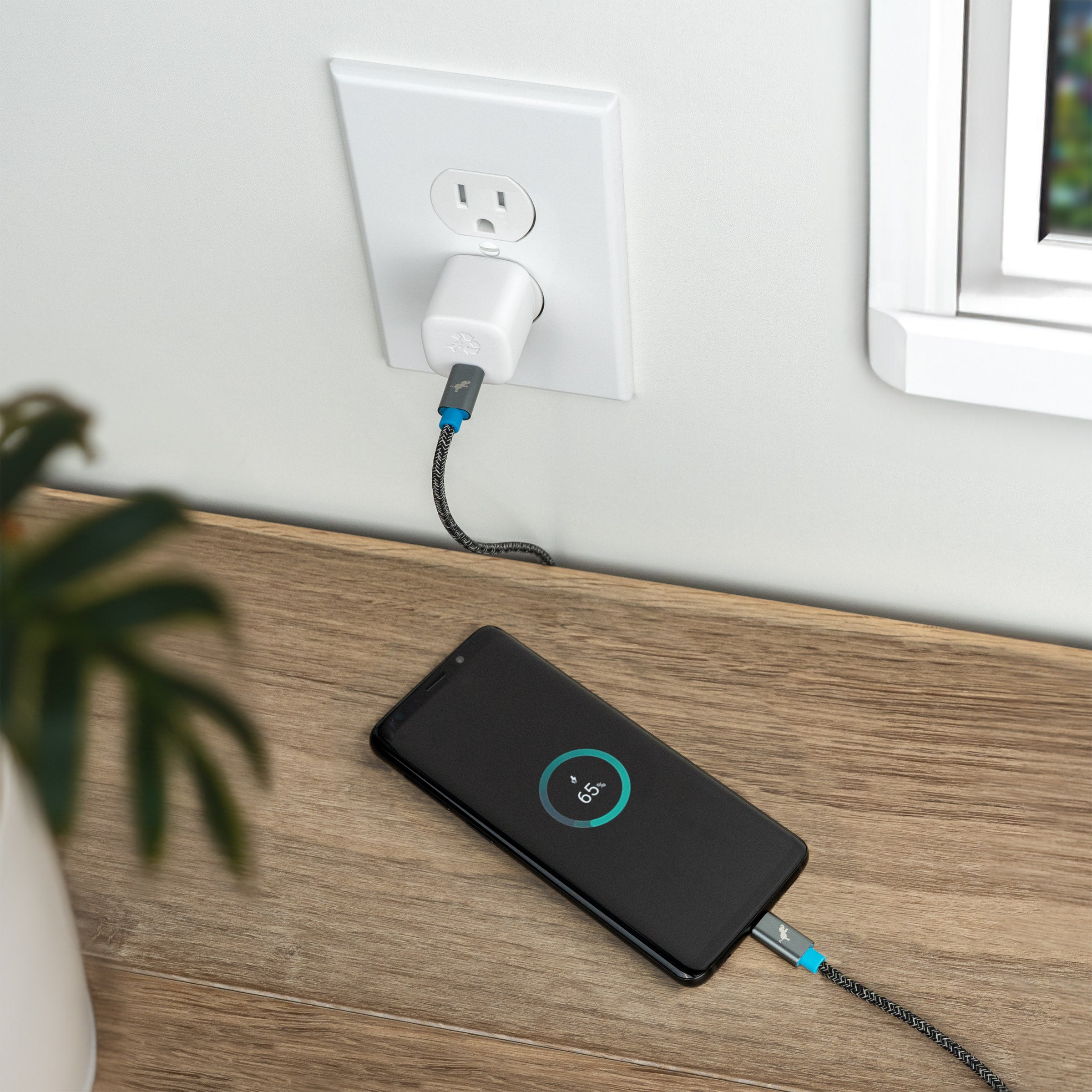 WALLY SubNano 30W Wall Charger