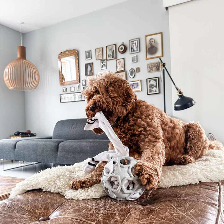 HEVEA Enrichment & Fetch Dog Toy EarthHero