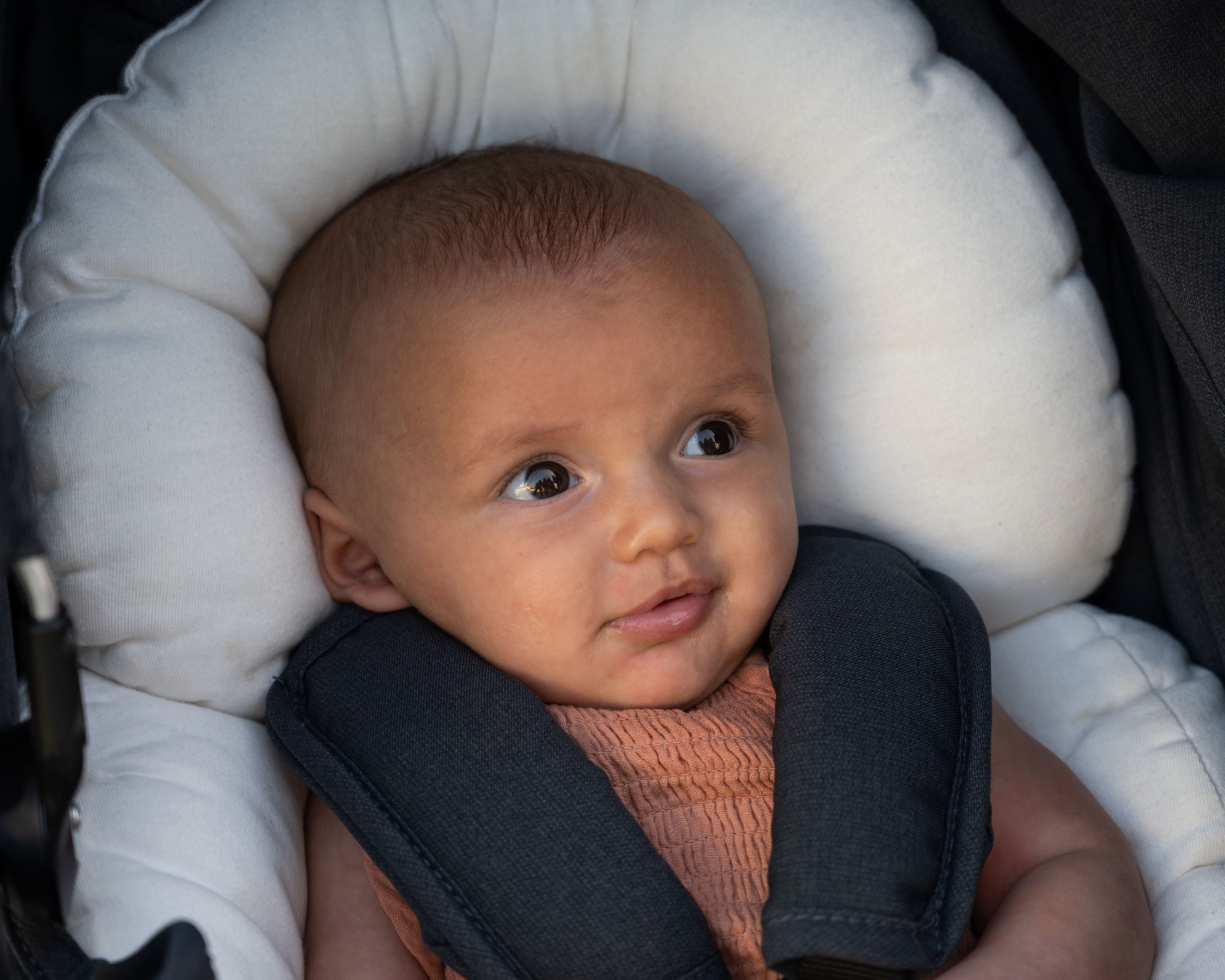 Organic Cotton Infant Insert