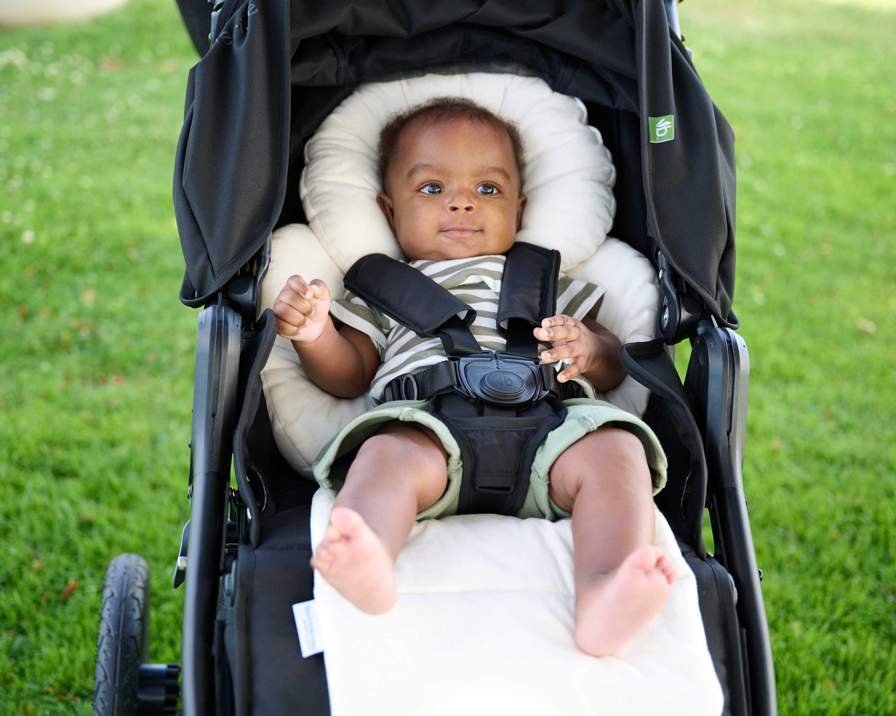 Organic Cotton Infant Insert