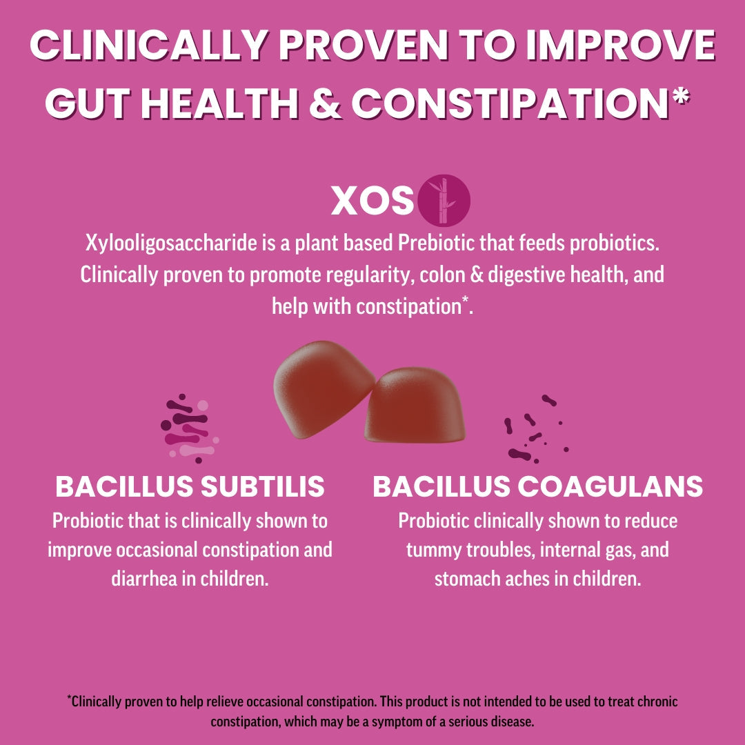 Family Gut Support Bundle – Kids + Adult Pre & Probiotic Gummies – Mixed Berry