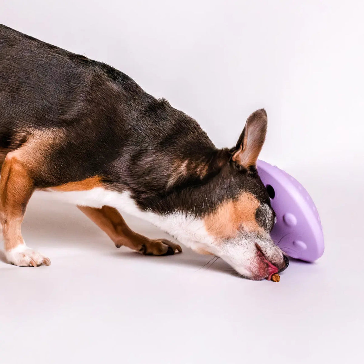 Flying Saucer Toy
