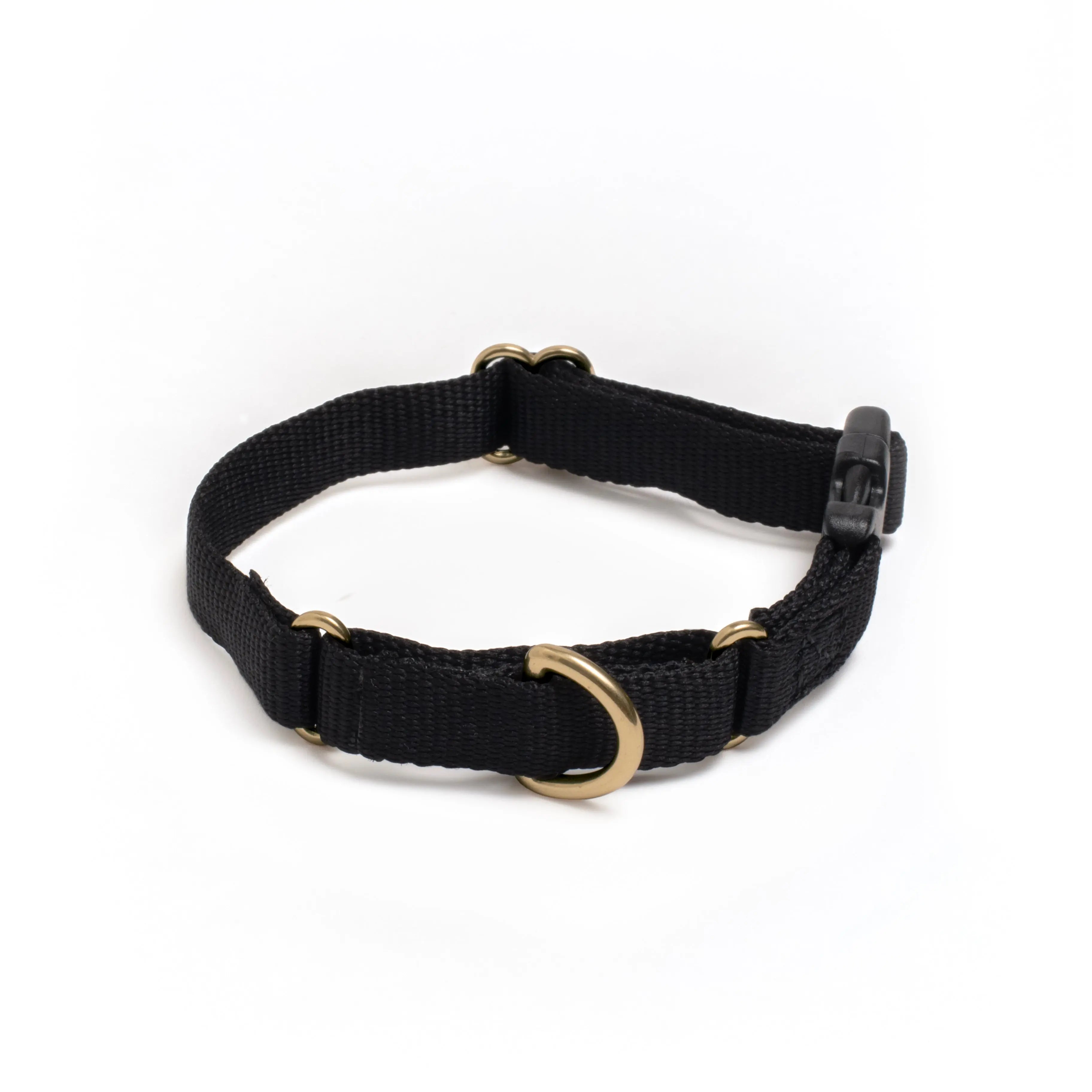 Marty Dog Collar