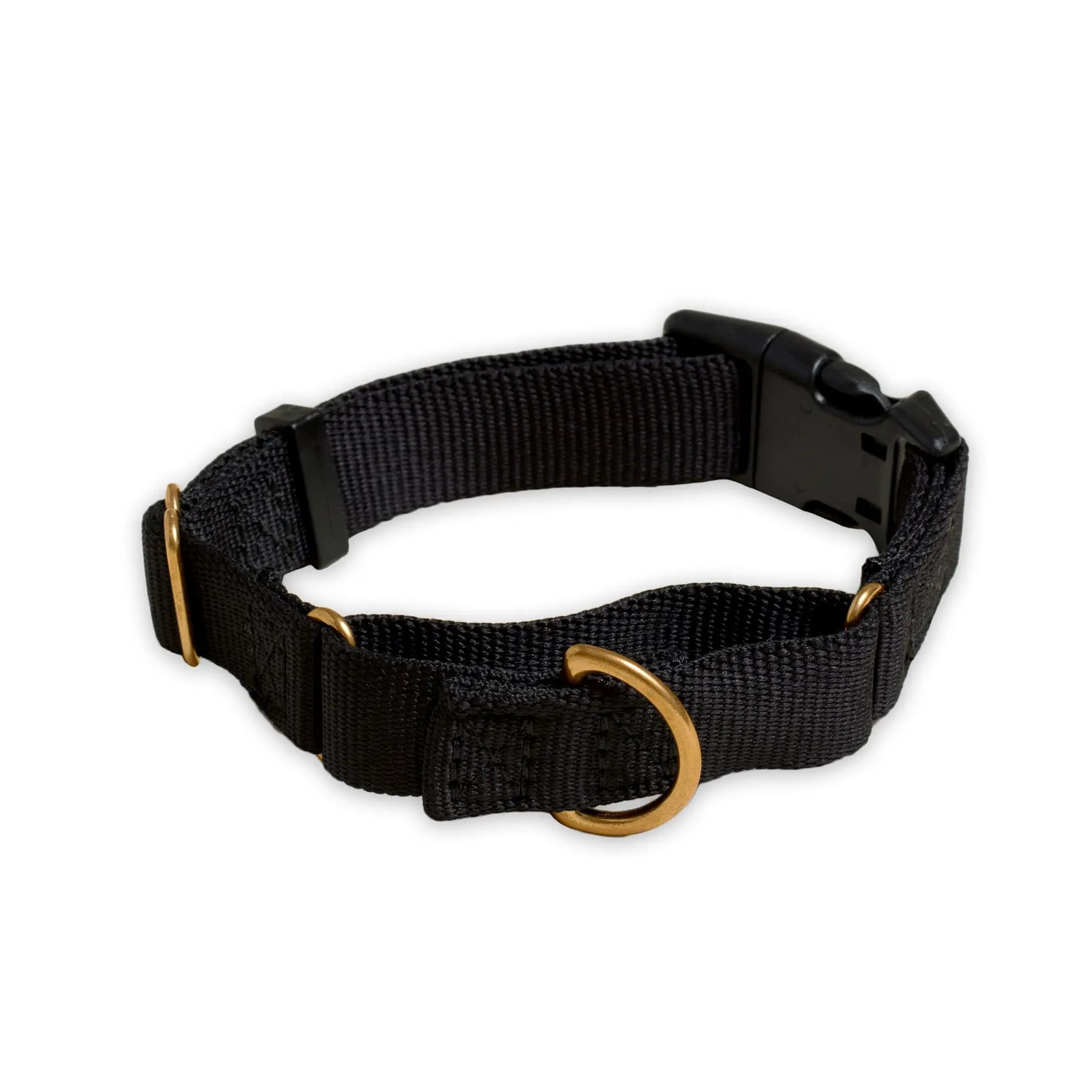 Marty Dog Collar