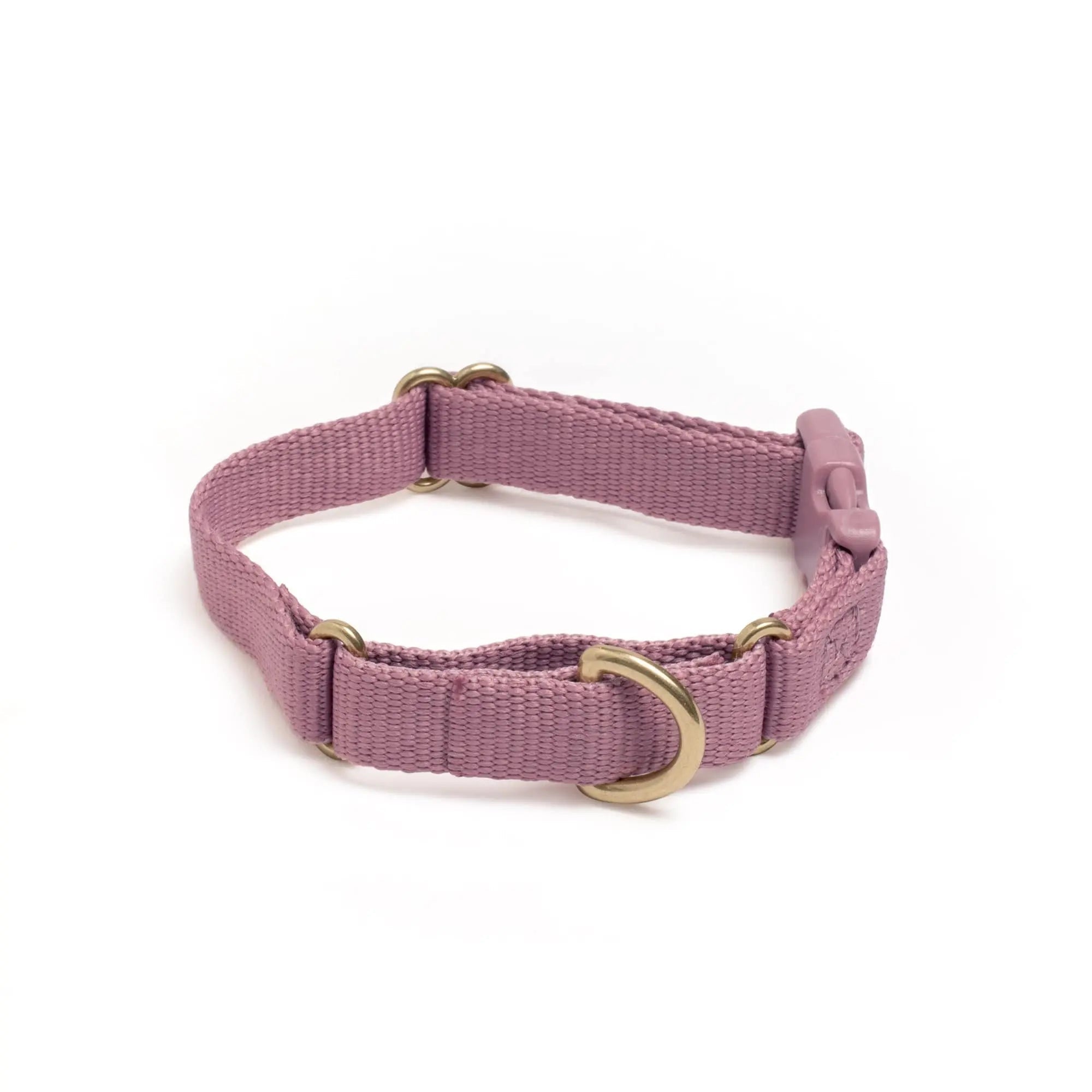 Marty Dog Collar