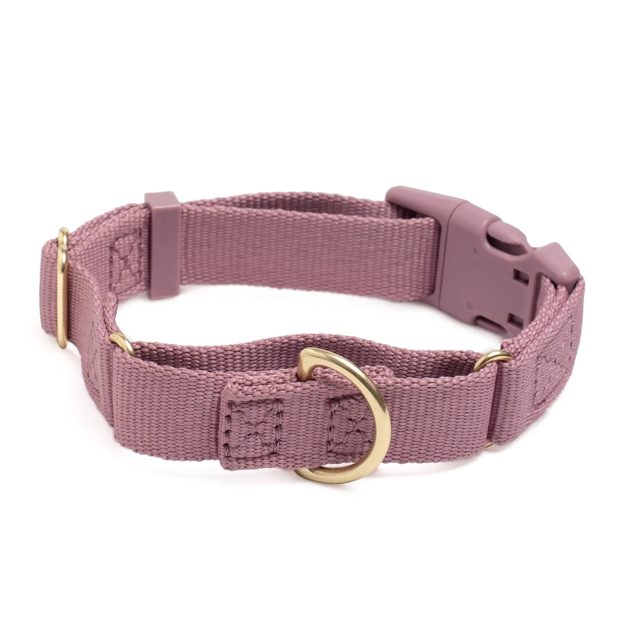 Marty Dog Collar