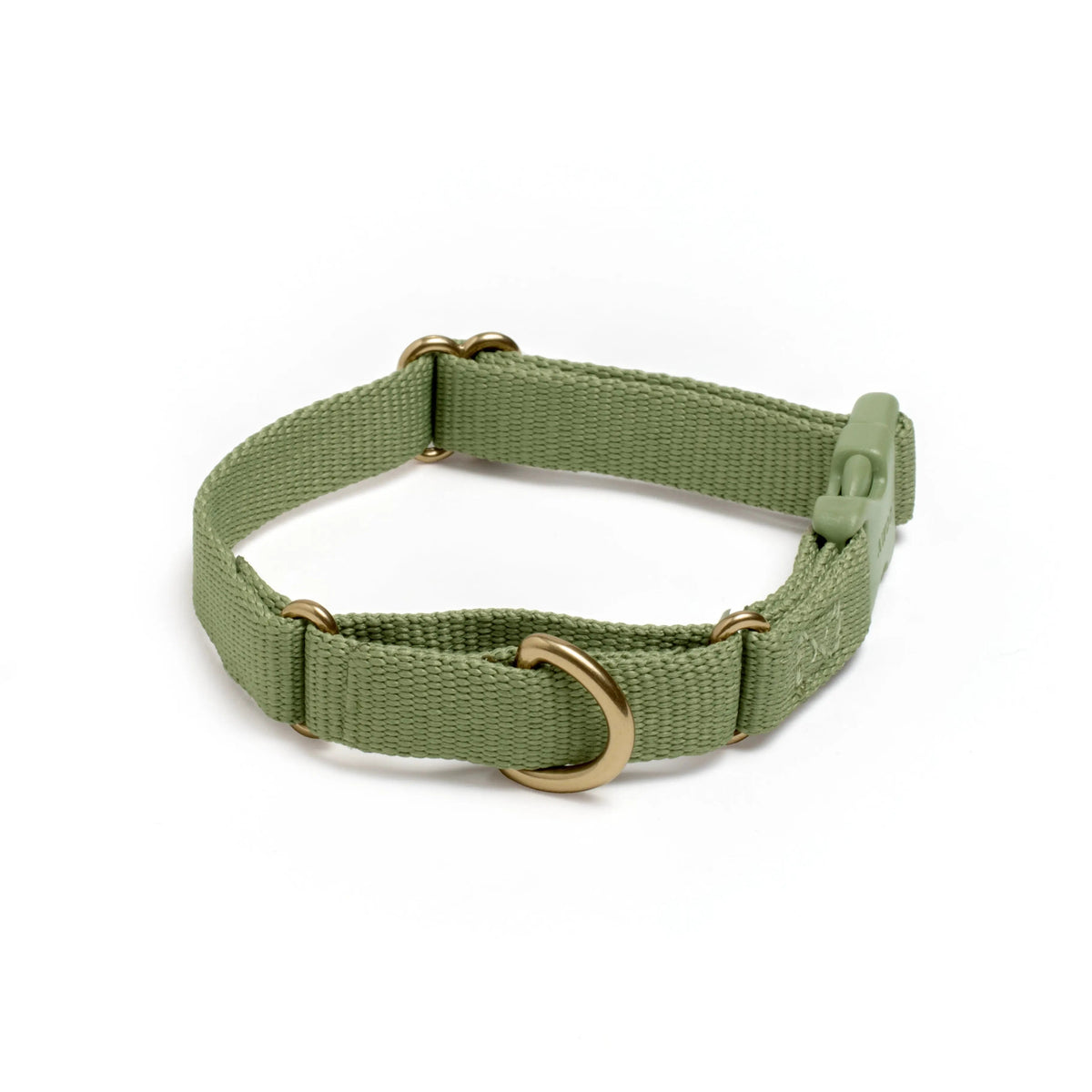 Marty Dog Collar