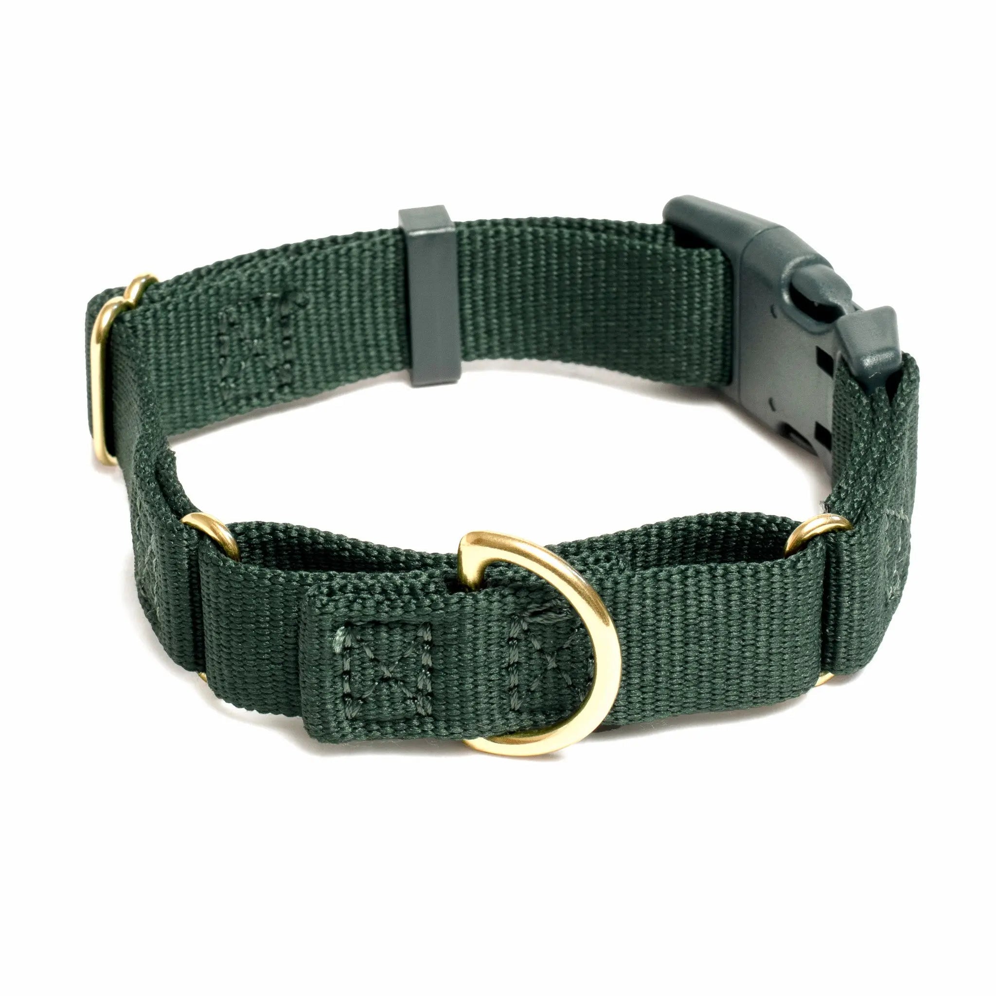 Marty Dog Collar