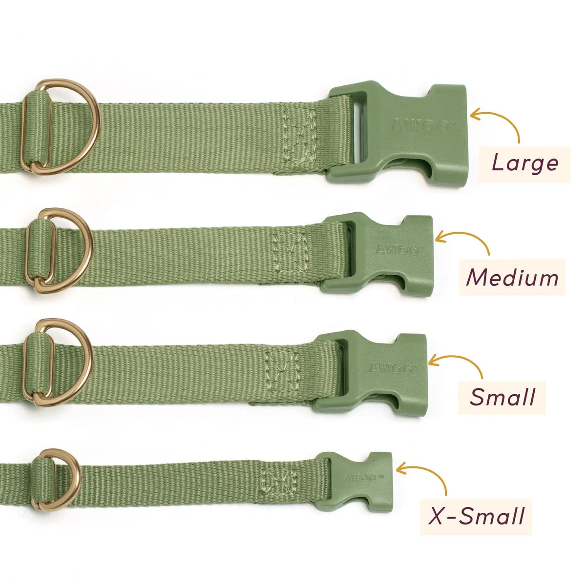 Marty Dog Collar