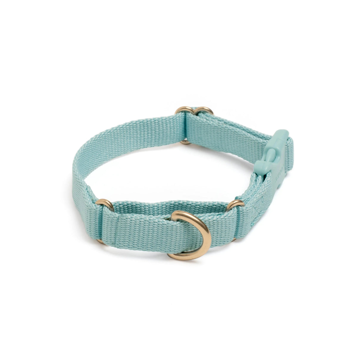 Marty Dog Collar