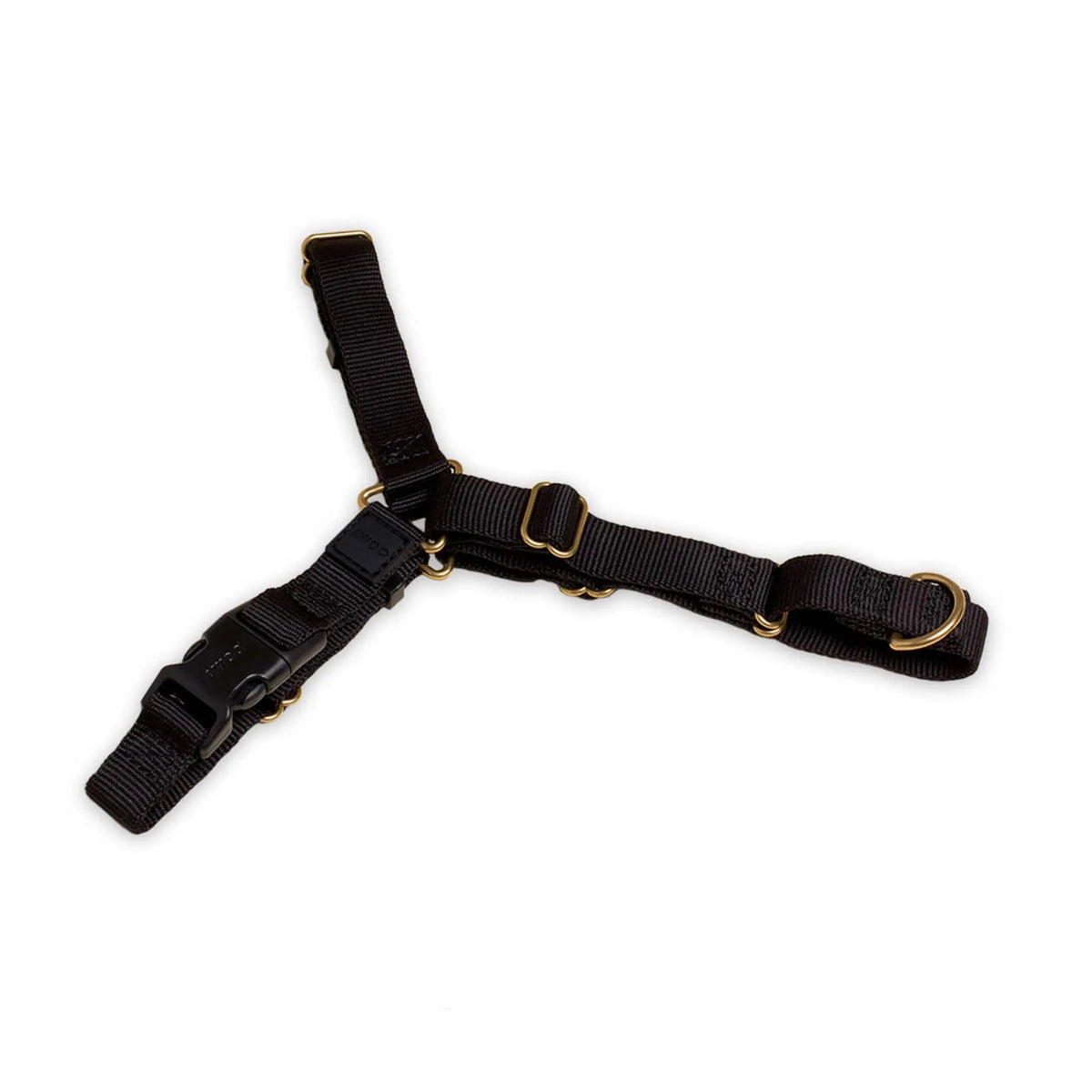 Roam Dog Harness