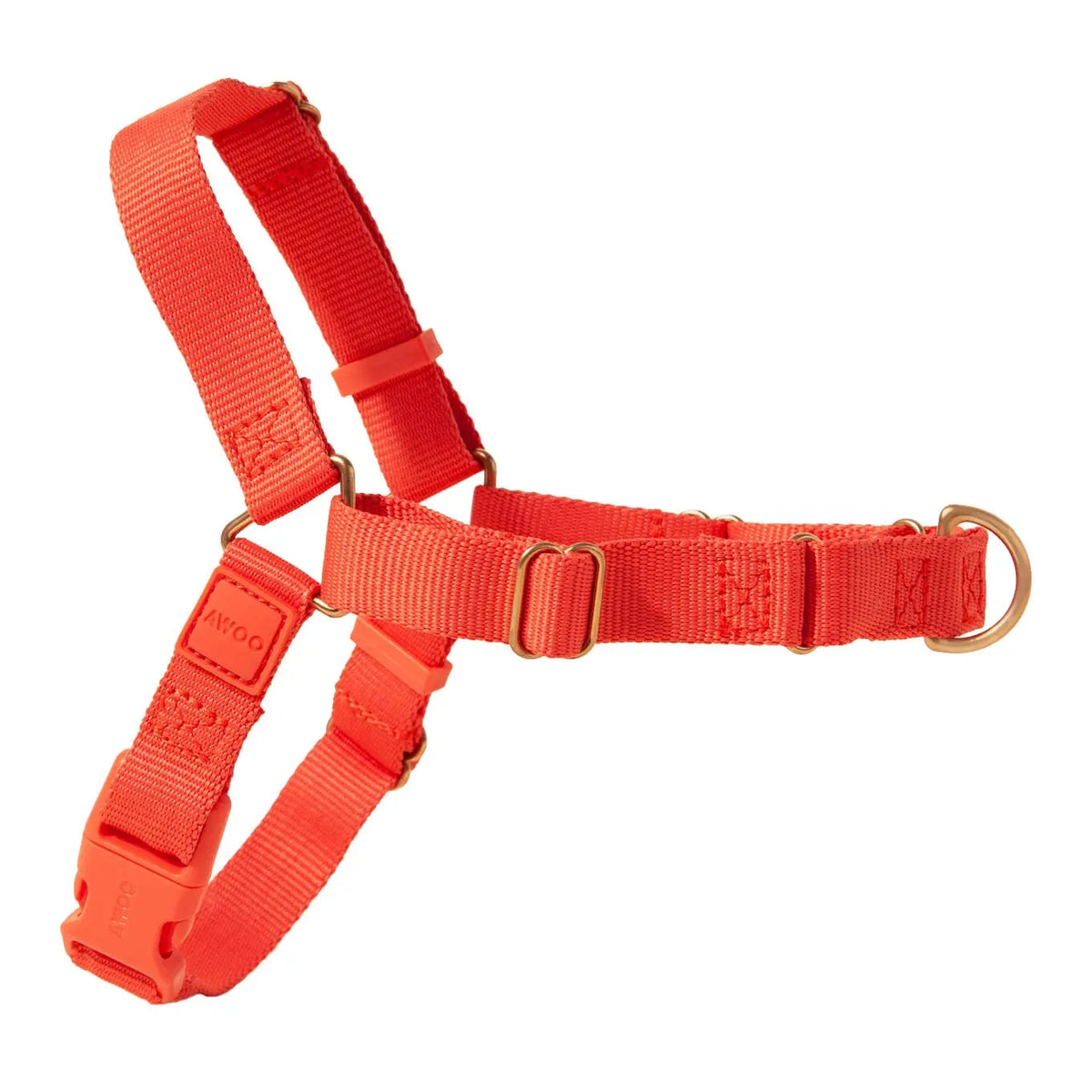 Roam Dog Harness