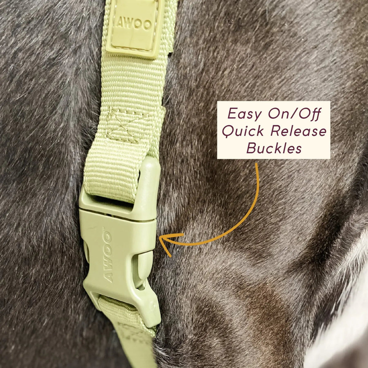 Roam Dog Harness