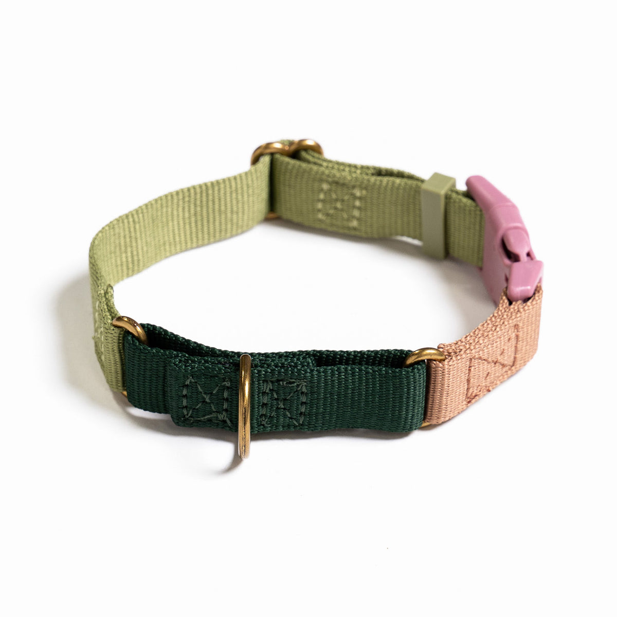 Marty Dog Collar