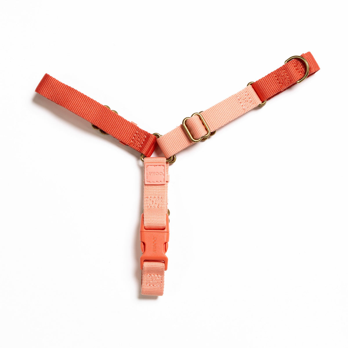 Roam Dog Harness