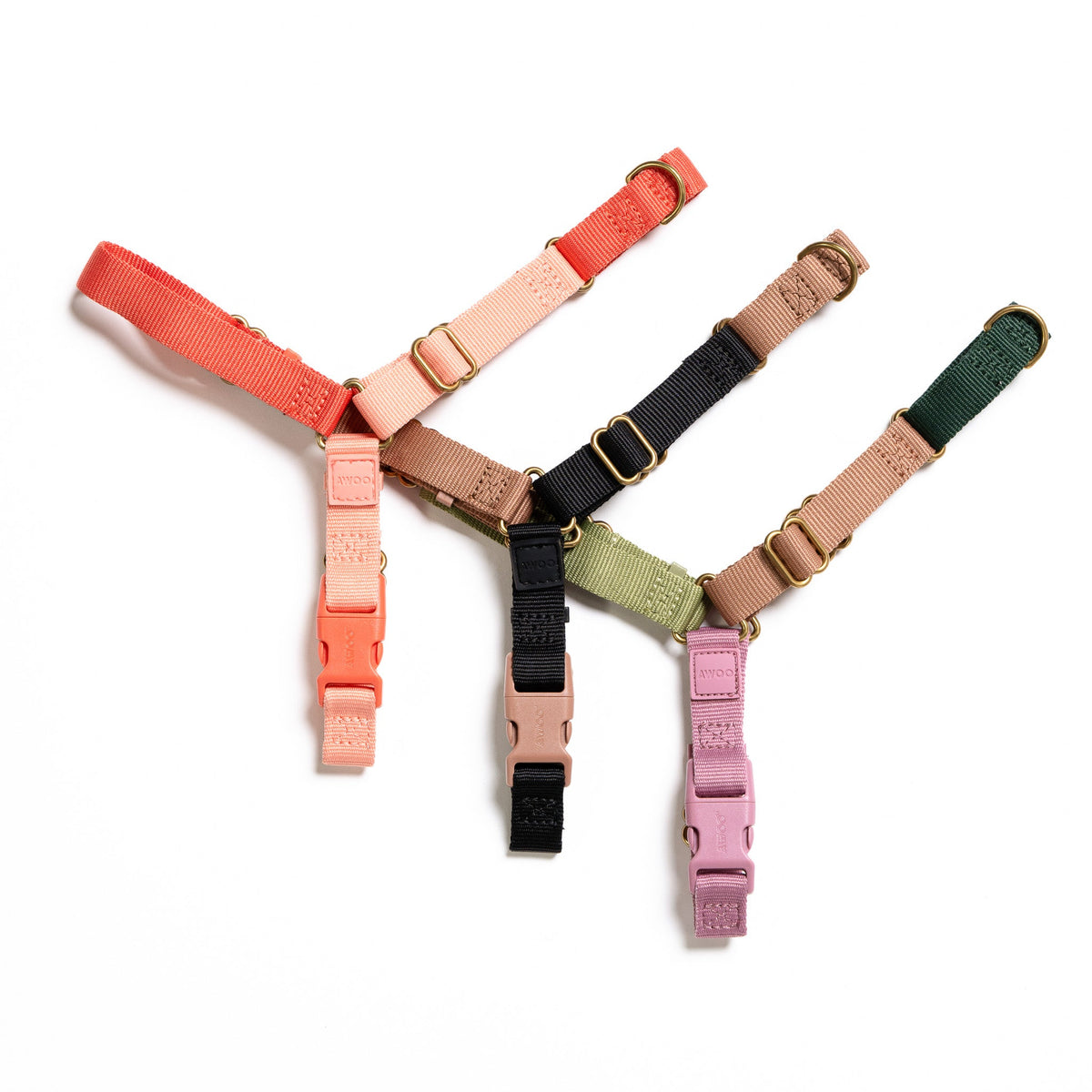 Roam Dog Harness