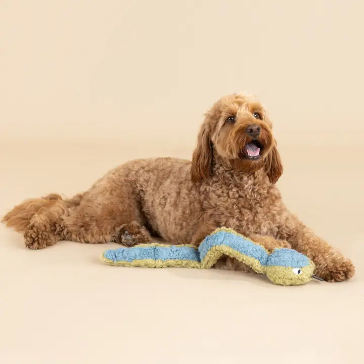 Recycled Snake Dog Toy