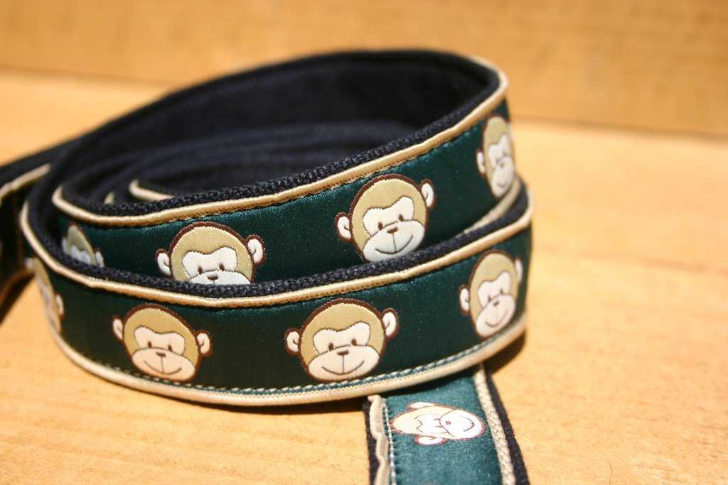 Hemp Dog Leash 6' Click n' Go with clasp Emerald Monkey