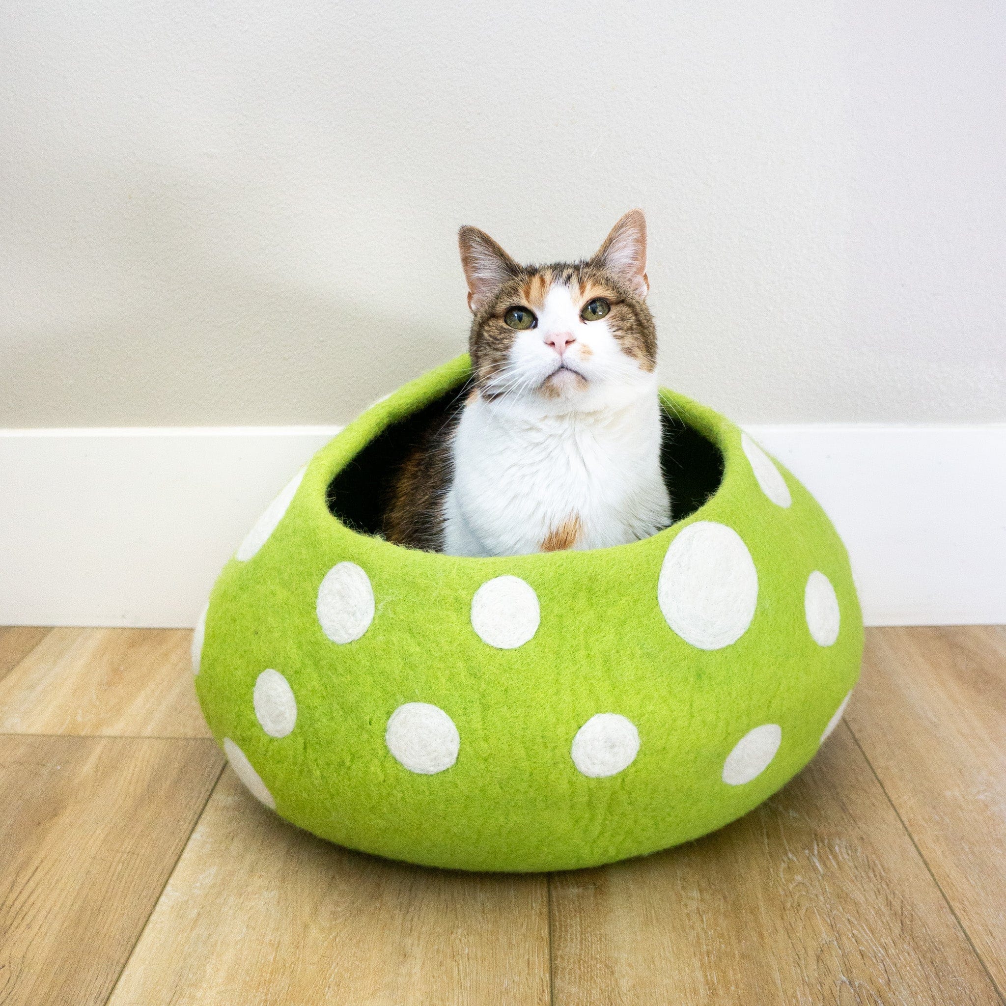 Green Mushroom Eco Kitty Cave