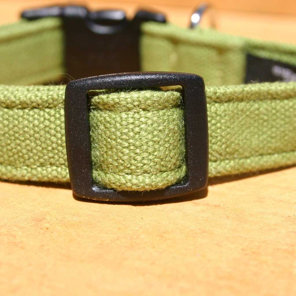 Basic Hemp Canvas Collars (Available in 4 colors)