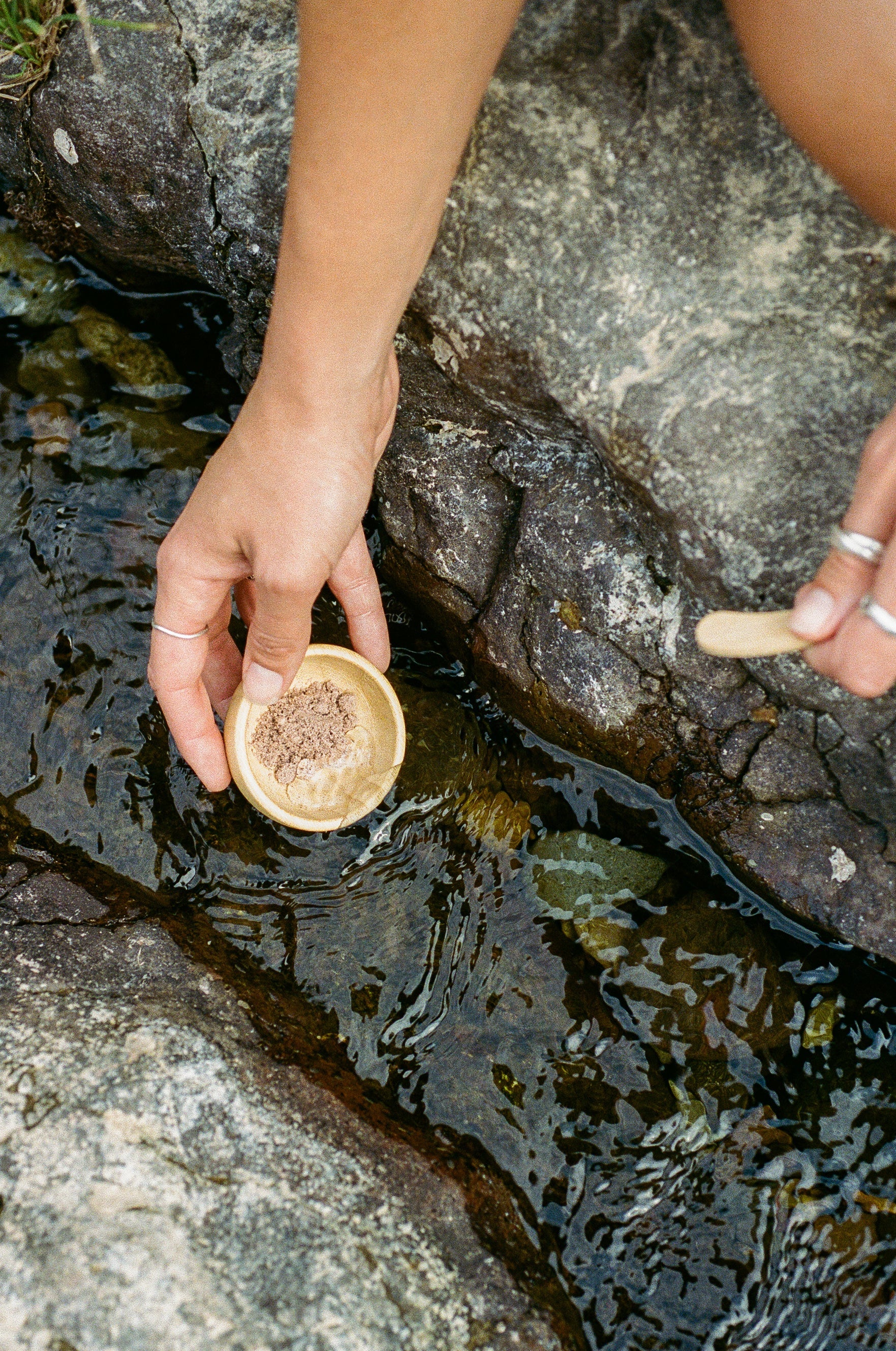 Hibiscus Facial Grains - Plastic Free Face Scrub, Mask, & Cleanser, All Skin Types