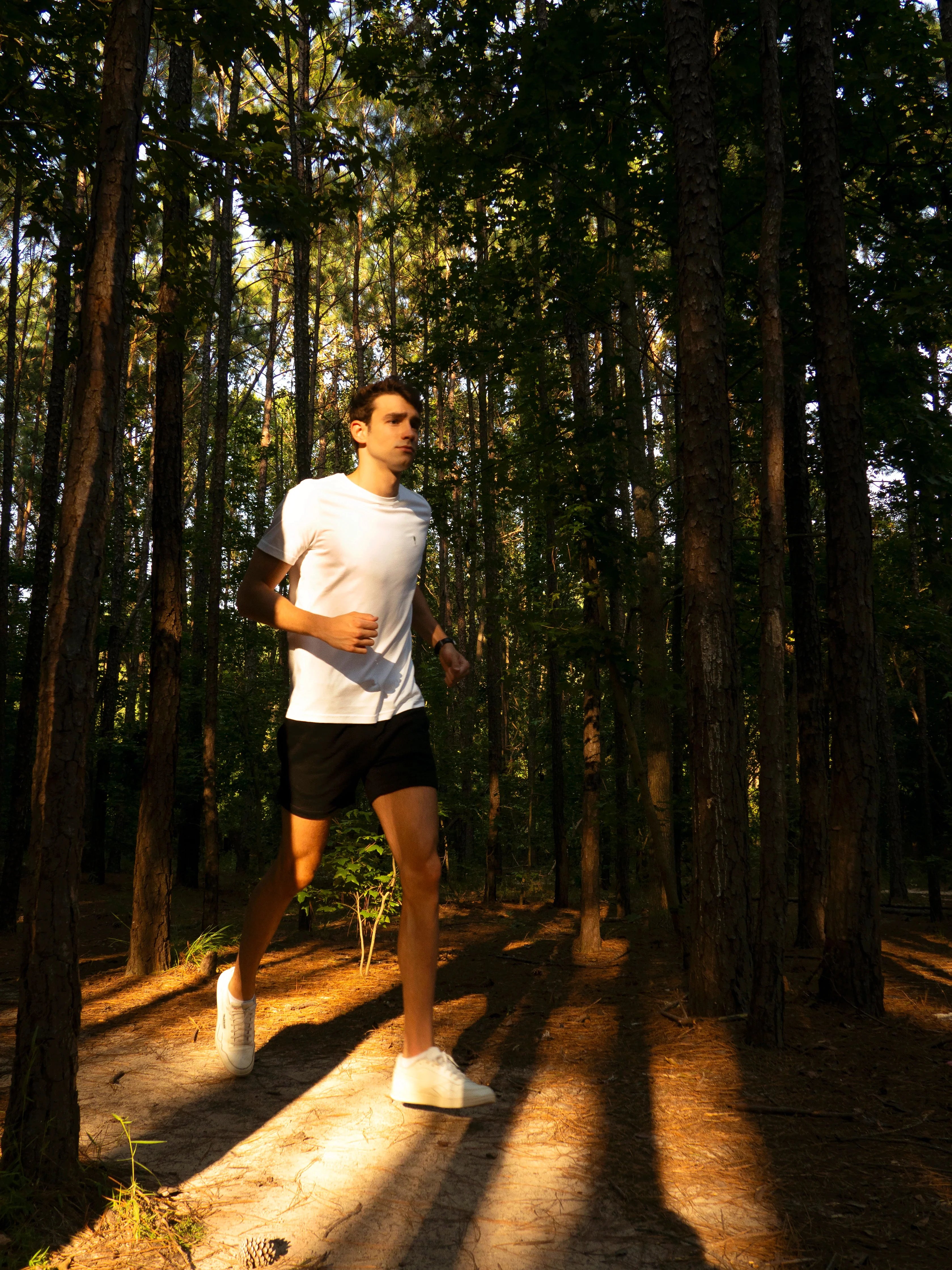 Men’s Organic Cotton T-Shirt by Livelihood – Soft, Sustainable Everyday Tee