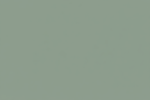 one color