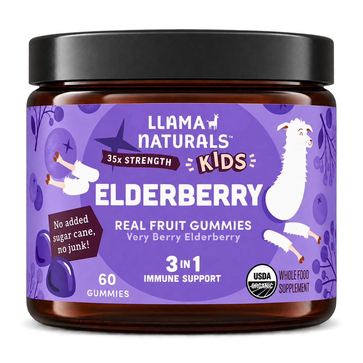 Kids Elderberry Immunity Gummies (60 ct)