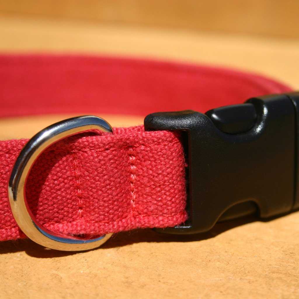 Hemp Dog Collar Basic Canvas Red