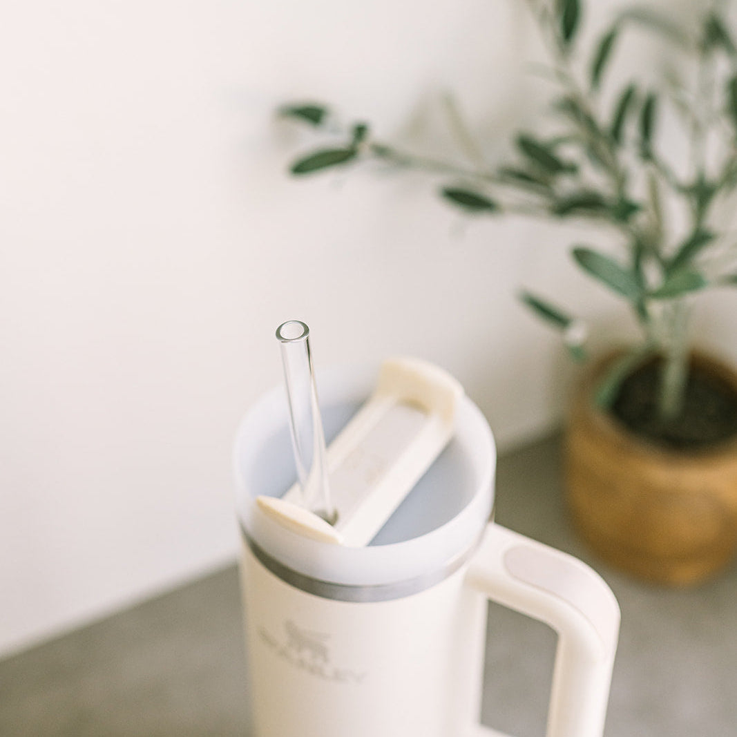 Tumbler 12" Glass Straw Set - Iridium