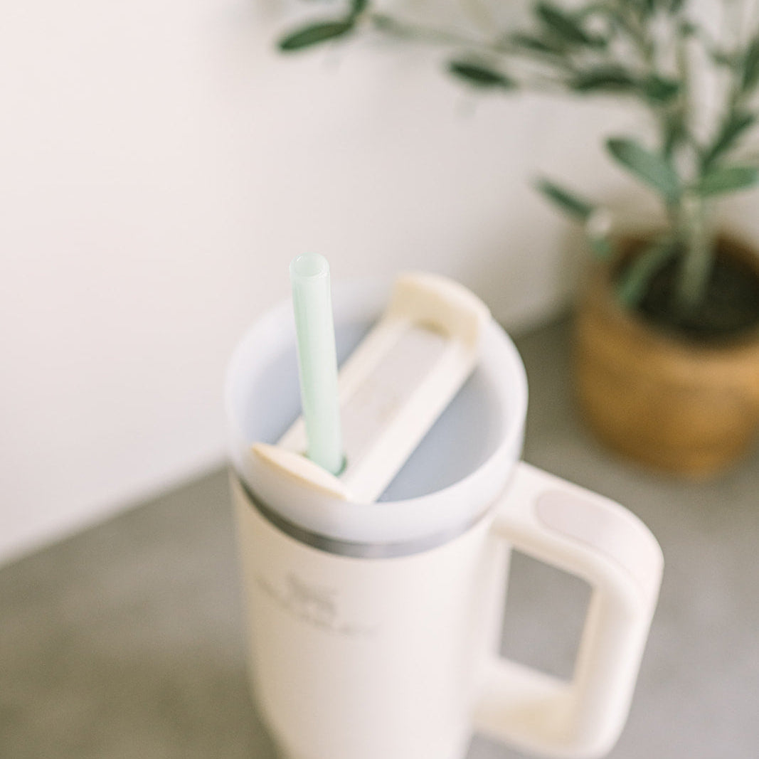 Tumbler 12" Glass Straw Set - Meadow
