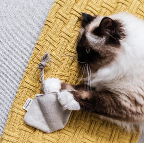 Stingray Catnip Cat Toy