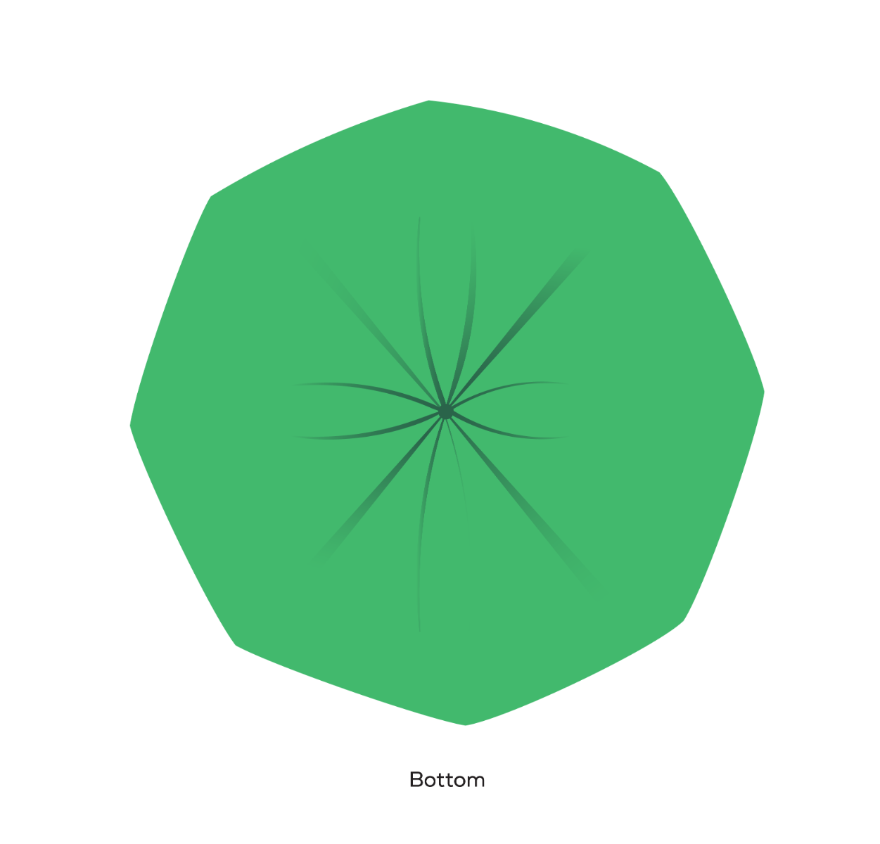 3 Gallon Compost Bin Bags - 48pk