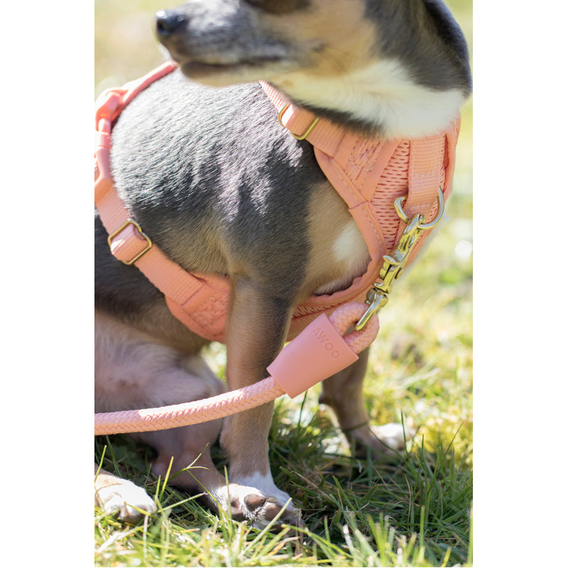 Huggie Dog Harness