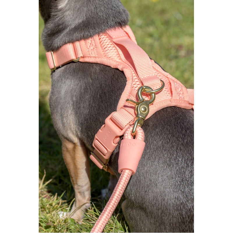 Huggie Dog Harness