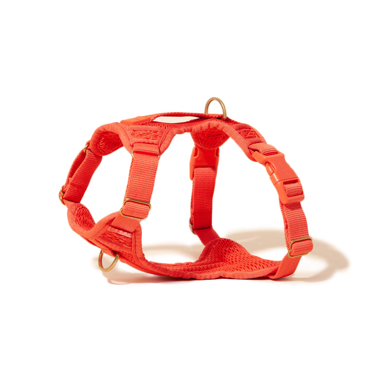 Huggie Dog Harness