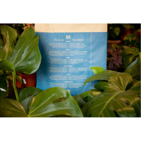 Sustainable Potting and Soil Mix