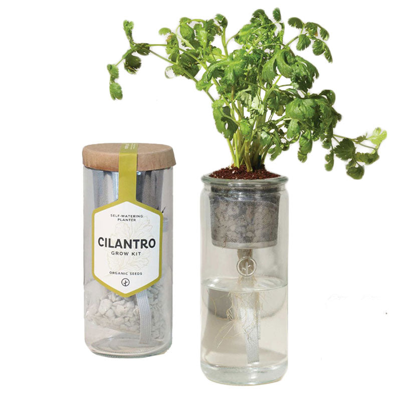 All-In-One Herbal Hydroponic Planter