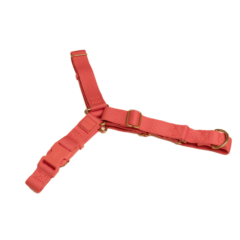 Coral dog harness best sale