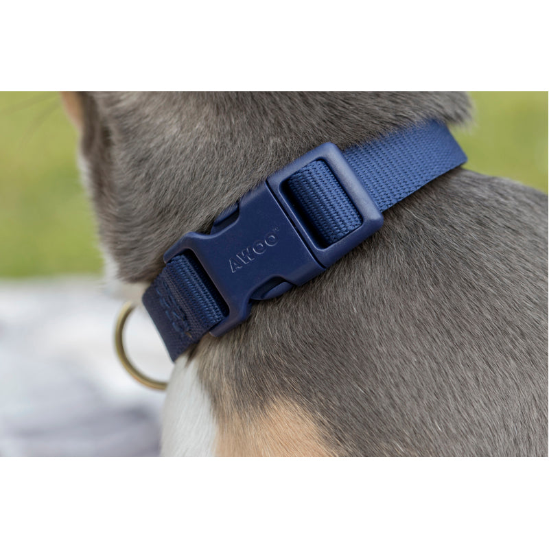 Pack Dog Collar