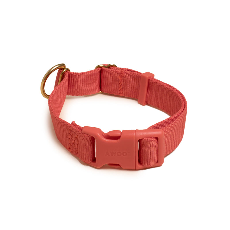 Pack Dog Collar